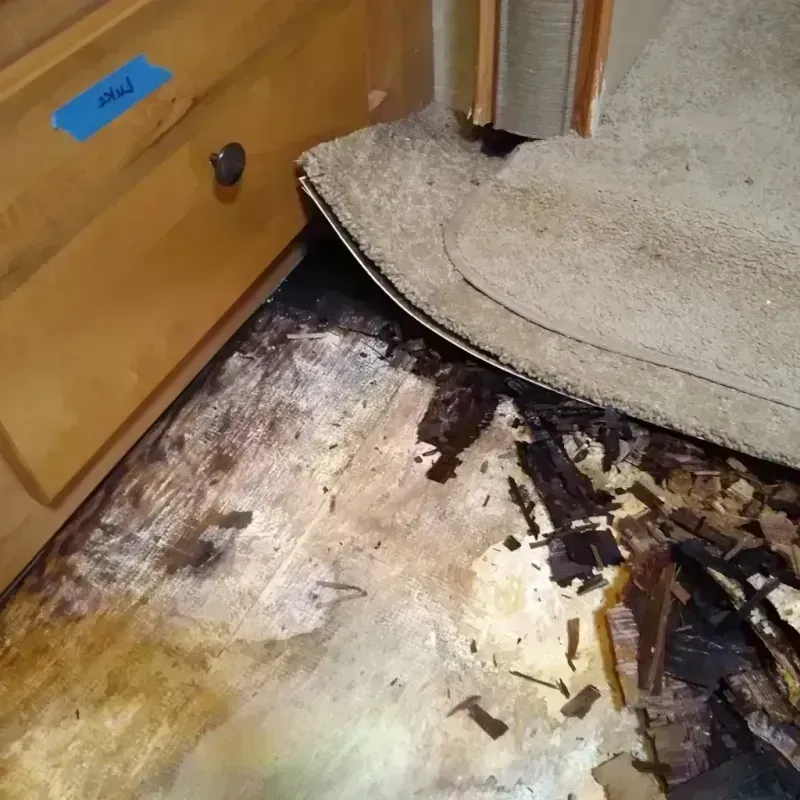 Wood Floor Water Damage in Cumberland County, TN